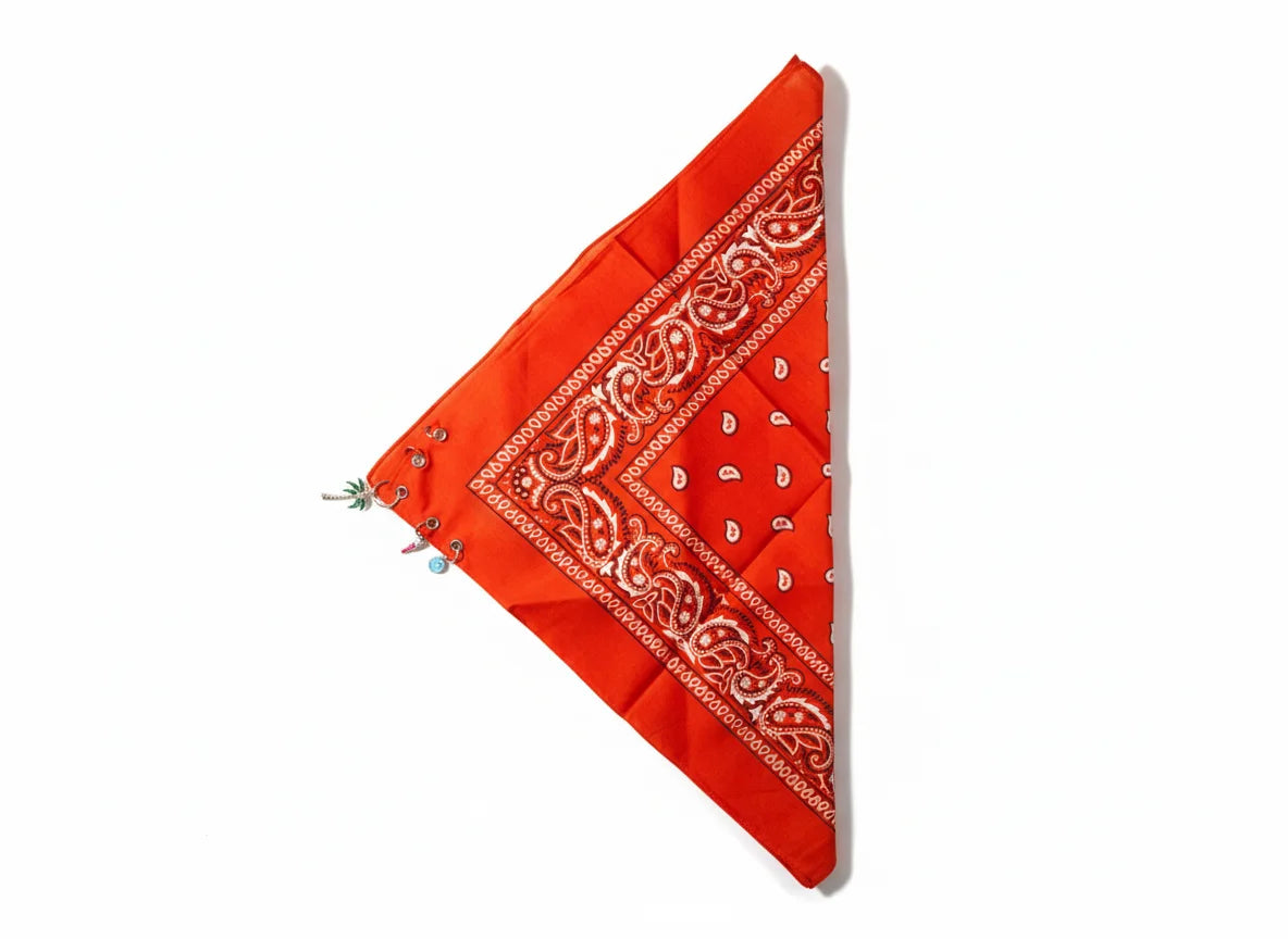 BANDANA CITRINE (2 LETTRES)